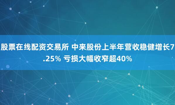 股票在线配资交易所 中来股份上半年营收稳健增长7.25% 亏损大幅收窄超40%